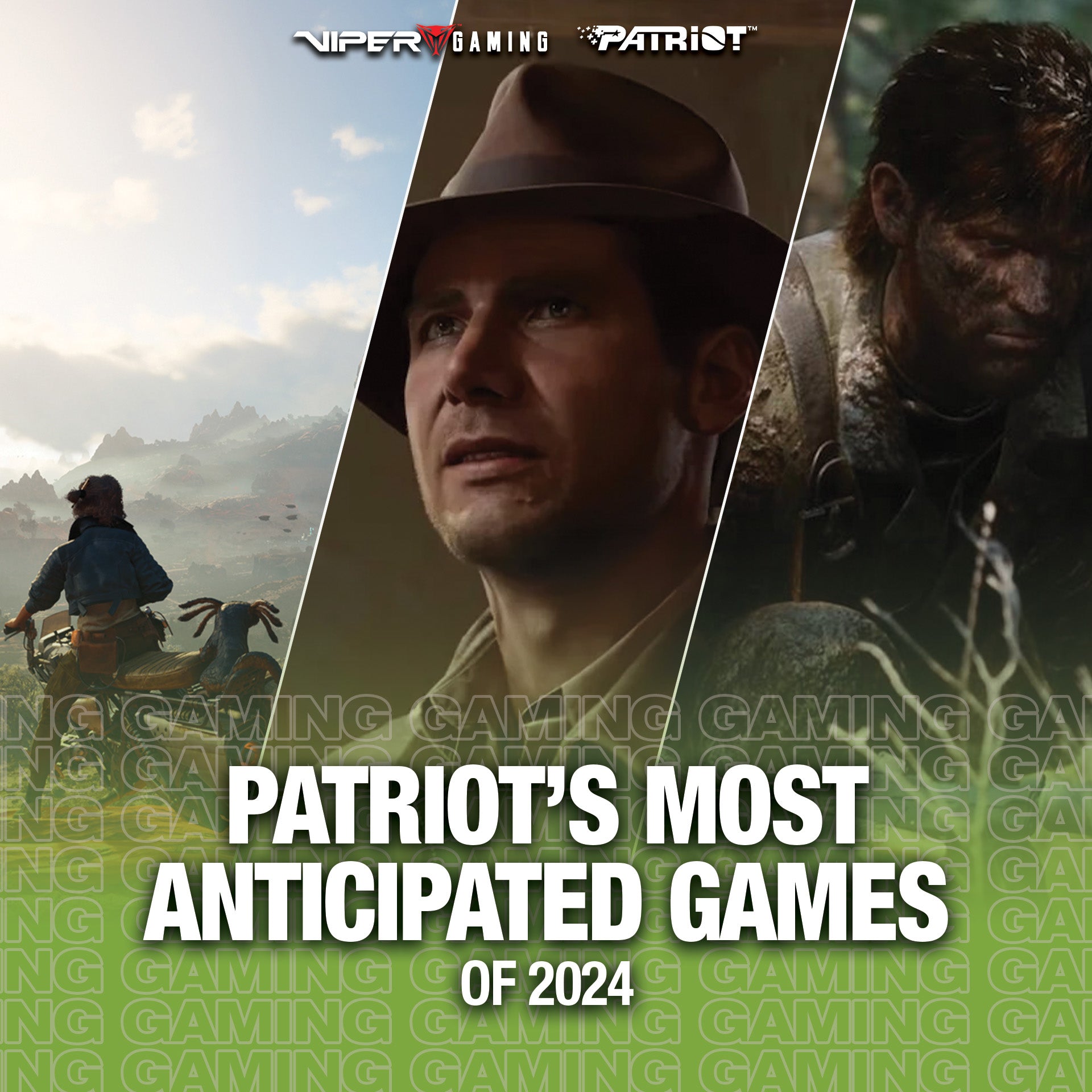 Patriot's Most Anticipated Games of 2024