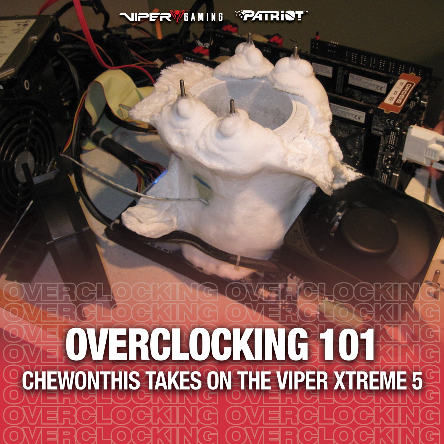 Overclocking 101: Chewonthis Takes on the Viper Xtreme 5